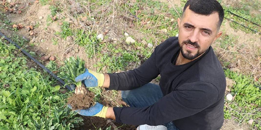 Hem çiçeğini hem tohumunu satıyor, talep patlıyor! Yurt içinin ardından yurt dışına açılmaya hazırlıyor 5